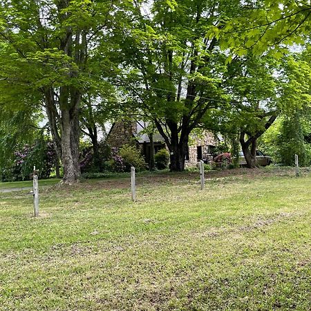 Asheville Urban Farmhouse Entire Home 4 Mi To Dt Екстер'єр фото